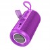 Акустика Borofone Noble sports BT speaker BR37 |BT5.3, USB/TF/FM/AUX, TWS, 5Wx2, 2h|