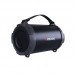 Акустика Bluetooth Beecaro RGB Light X-114 |BT5.0, TWS, 2W/8W, FM, AUX, TF| (170*170*409mm)