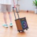 Акустика-караоке HOCO Wave wireless dual-mic outdoor BT speaker HA2 |BT5.0, AUX/TF/USB, TWS, 45W, 7h|