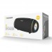 Акустика Sounarc R1 IPX6 |BT5.3, AUX/TF, 40W, TWS, 16h Max|
