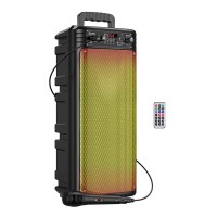 Акустика-караоке HOCO billowing outdoor BT speaker bs52 |TWS, BT5.0, 10Wx2, 3h|