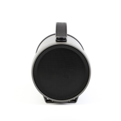Акустика Bluetooth Beecaro S22E |BT5.0, TWS, 10W, FM, AUX, SD| (286.5*131.5*143.5mm)