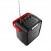 Акустика-караоке BOROFONE Cool karaoke BT speaker bp7 |10W, BT5.0 AUX, FM, TF, USB, 4800mAh|