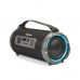 Акустика-караоке Beecaro RGB Light K1202 |BT5.0, TWS, 1.5W/10.8W, FM, AUX| (375 x 170 x 180mm)