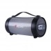 Акустика Bluetooth Beecaro with RGB Light RX22E |BT5.0, TWS, 6W, FM, AUX|