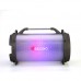 Акустика-караоке Bluetooth Beecaro with RGB Light RX28 |BT5.0, 18W, FM, AUX, TF| (403 x 214 x 252mm)
