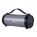 Акустика Bluetooth Beecaro with RGB Light RX33D |BT5.0, 7.5/8.5W, FM, AUX, TF| (230*94*97mm)