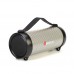 Акустика Bluetooth Beecaro with RGB Light RX33D |BT5.0, 7.5/8.5W, FM, AUX, TF| (230*94*97mm)