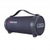 Акустика Bluetooth Beecaro S11F |BT5.0, TWS, 8W/9W, FM, AUX| (254*115*125mm)